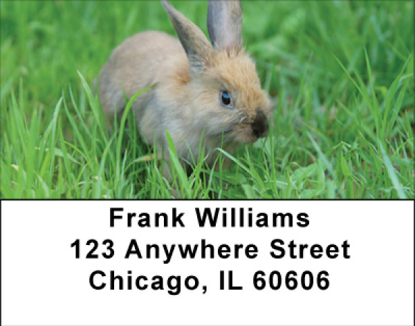 Bunnies In Springtime Address Labels | LBBBB-41