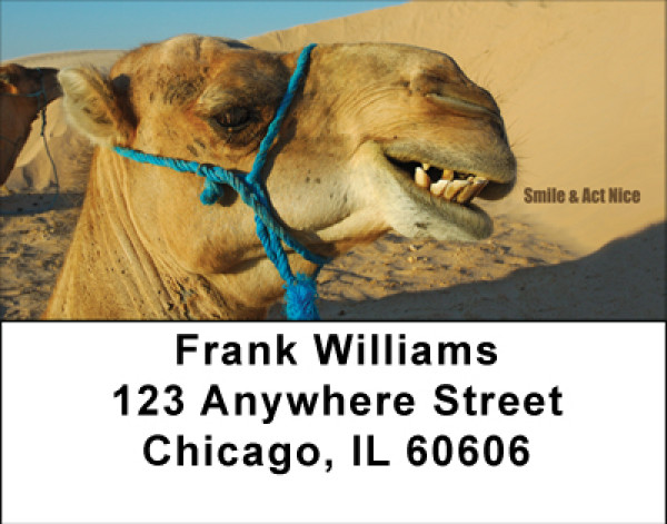 Happiness Address Labels | LBBBC-67