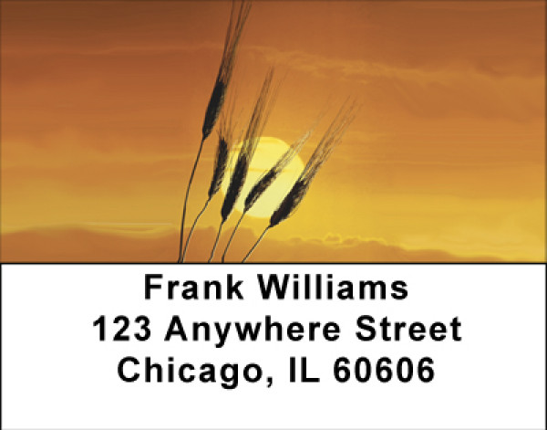 Seasons Of Harvest Address Labels | LBBBD-63