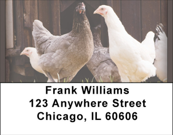 Hen House Address Labels | LBBBD-68