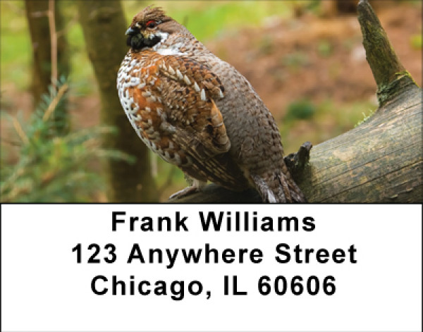 Quail In Nature Address Labels | LBBBD-80