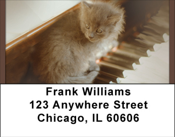 Kittens On The Keys Address Labels | LBBBD-87
