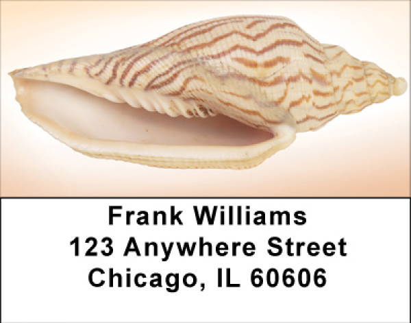 Peachy Shell Collection Address Labels | LBBBE-02