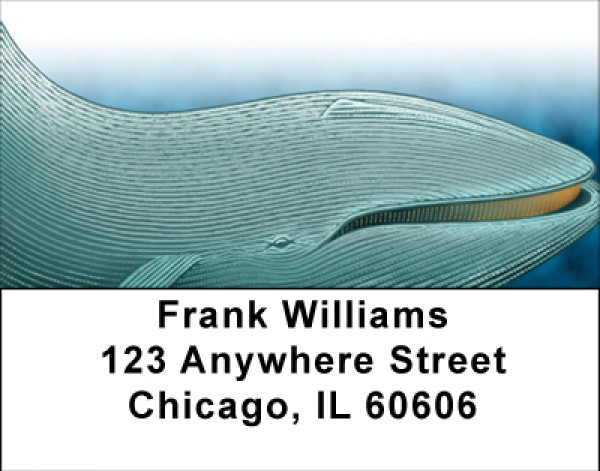 Tails And Whales Address Labels | LBBBE-05