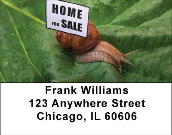 Home For Sale Address Labels | LBBBE-85