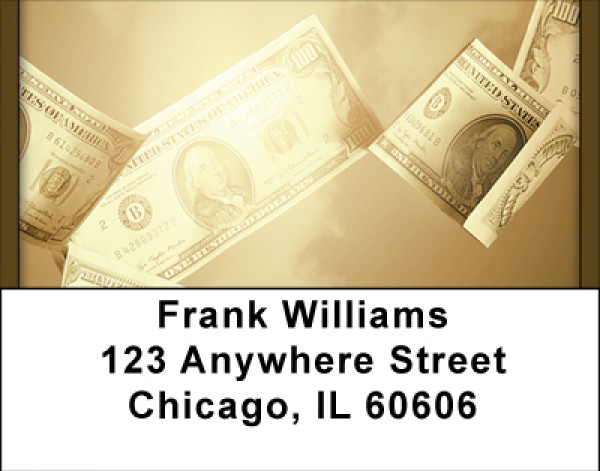 Raining Money Address Labels | LBBBF-82