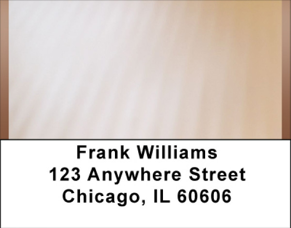 Classic Peach Address Labels | LBBBG-55