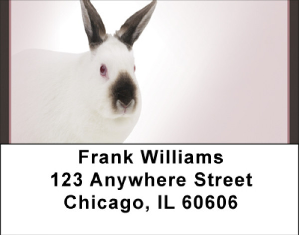 Magic Rabbit Address Labels | LBBBH-91