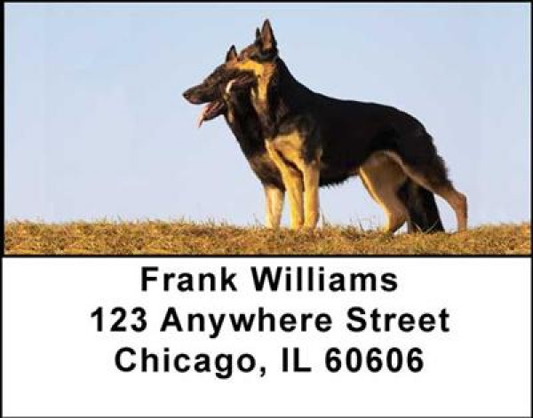 German Shepherd Address Labels | LBDOG-01