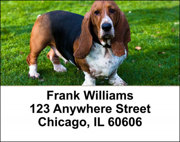 Basset Hounds Address Labels | LBDOG-07