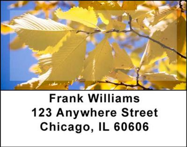 Foliage Address Labels | LBNAT-05