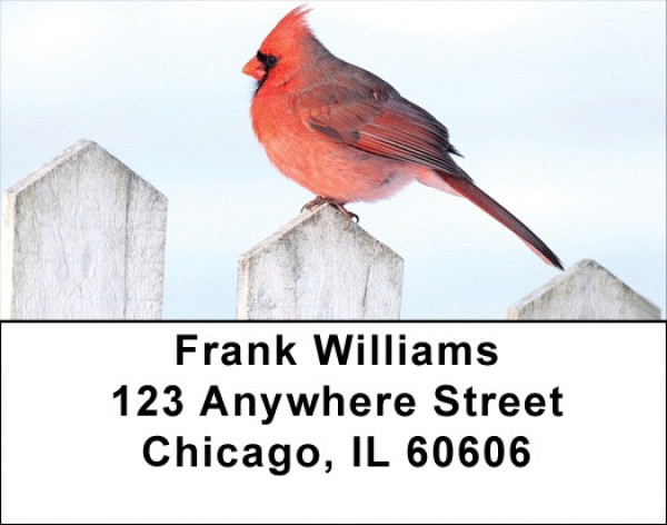 Cardinals Address Labels | LBQBA-31