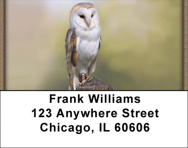 Barn Owls Address Labels | LBQBA-48