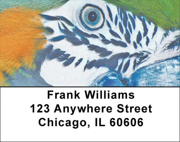 Birdseye View Address Labels | LBQBA-50