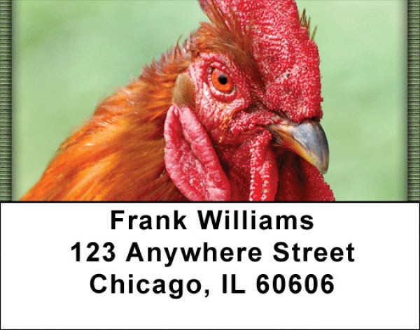 Cocky Roosters Address Labels | LBQBA-59