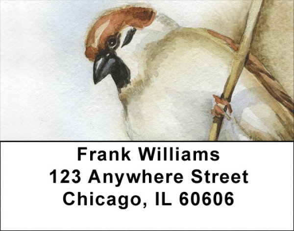Simple Sparrows Address Labels | LBQBA-61