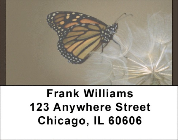 Garden Flutters Address Labels | LBQBA-75