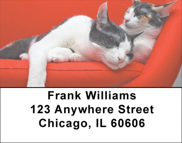 Feline Divas Address Labels | LBQBA-87