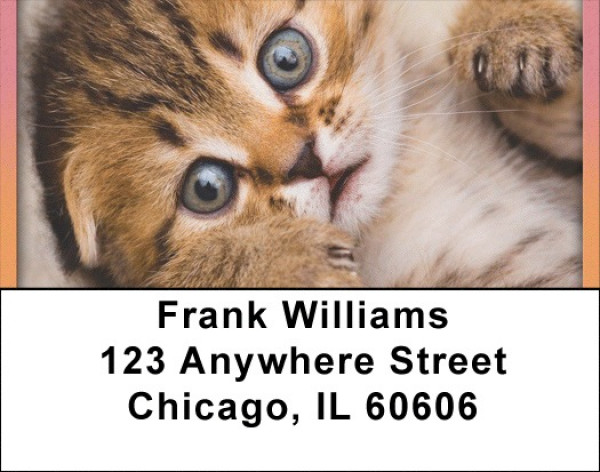 Just Too Cute Address Labels | LBQBA-91