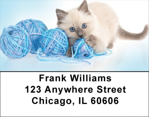 Kitty Blues Address Labels | LBQBA-93