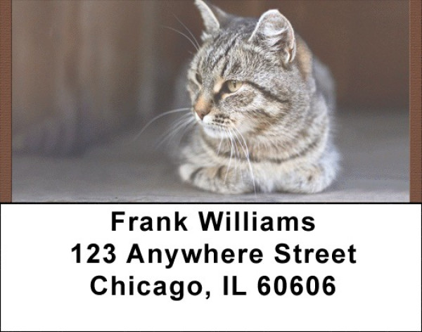 World Of Felines Address Labels | LBQBB-01