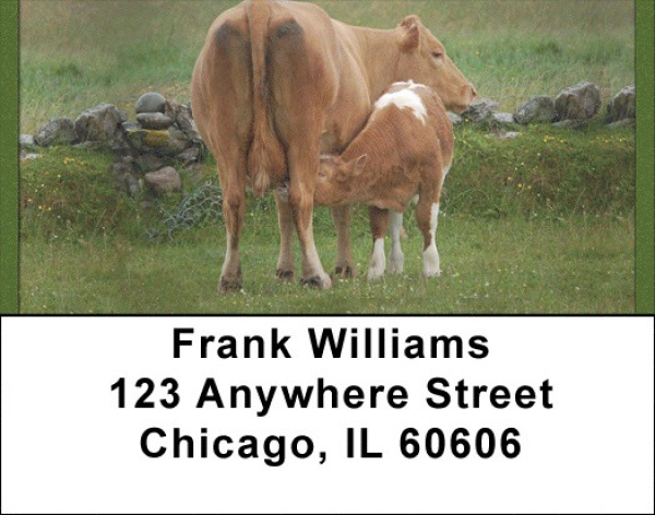 Cows With Calves Address Labels | LBQBB-10