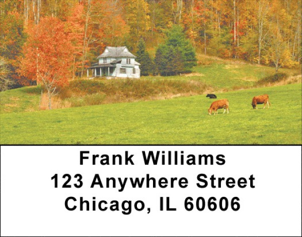 Grazing Cattle Address Labels | LBQBB-11