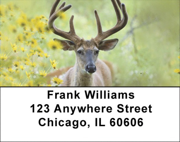Deer Racks Address Labels | LBQBB-18