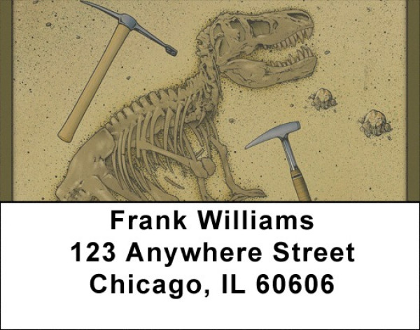 Diggin Dinosaurs Address Labels | LBQBB-22