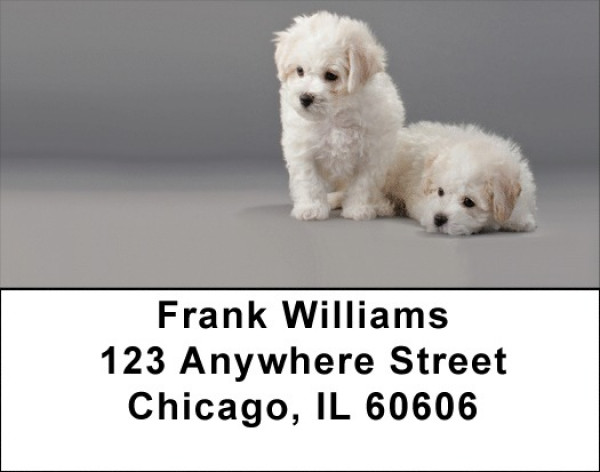 Bichon Puppies Address Labels | LBQBB-27