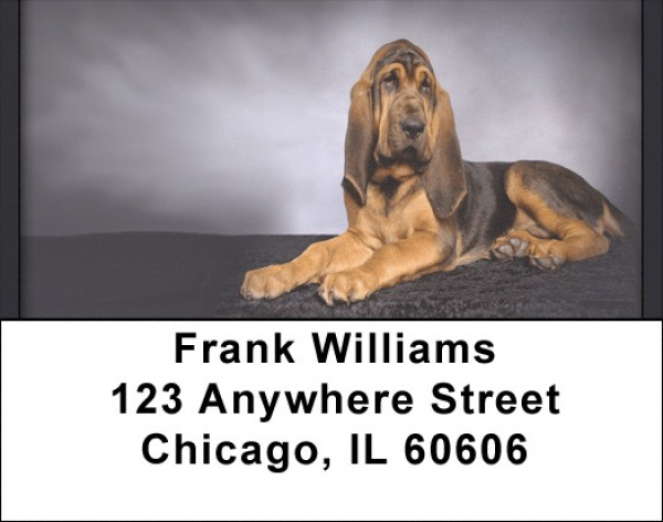 Bloodhounds Address Labels | LBQBB-28