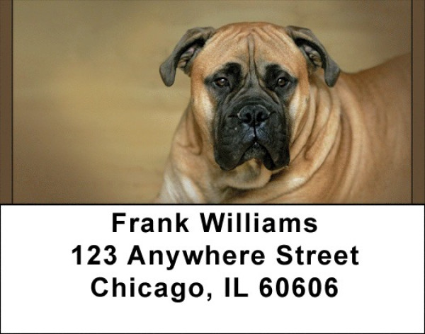 Bull Mastiff Address Labels | LBQBB-33