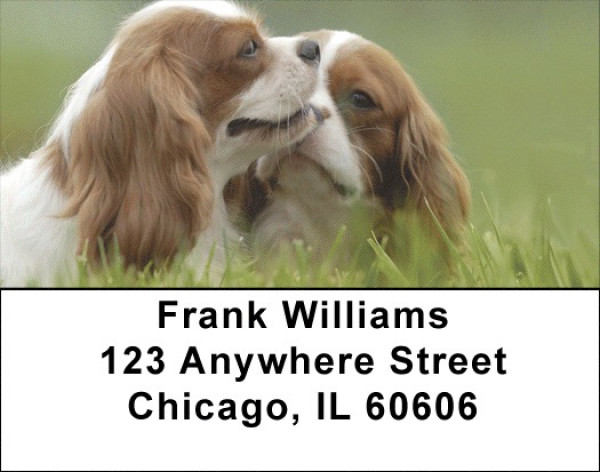 Cavalier St. Charles Address Labels | LBQBB-37