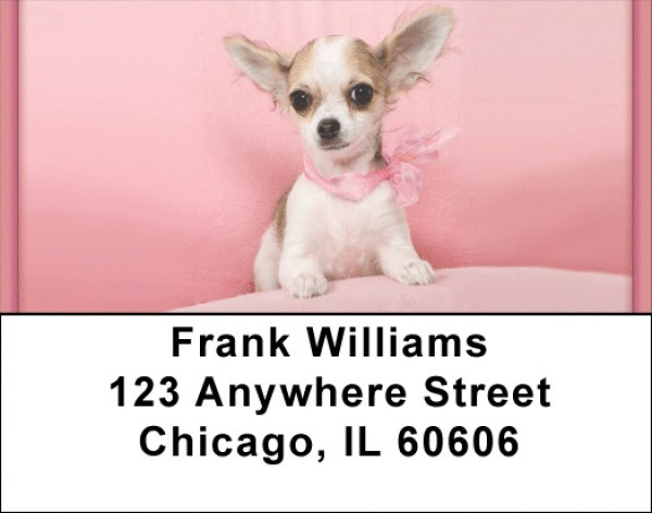 Chihuahua Princess Address Labels | LBQBB-39