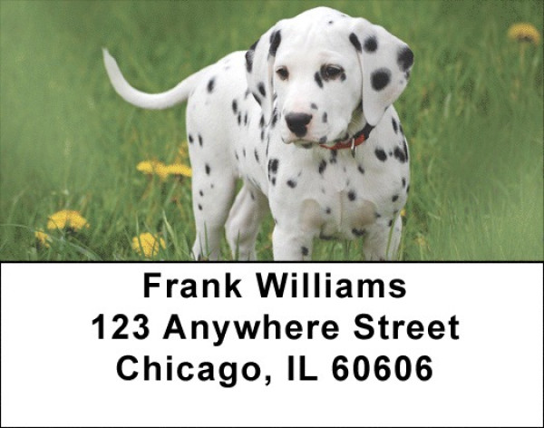 Dalmatians Address Labels | LBQBB-50