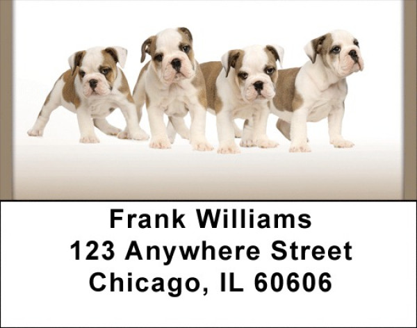 English Bulldogs Address Labels | LBQBB-51