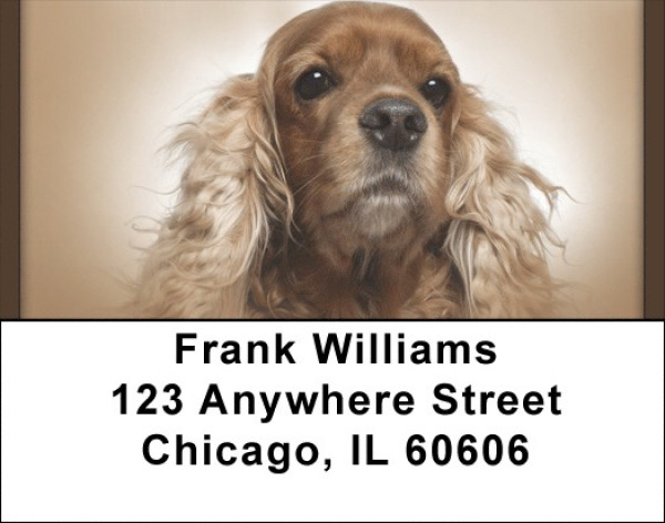 English Cocker Spaniel Address Labels | LBQBB-52