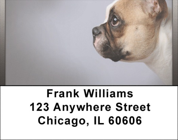 French Bulldogs Address Labels | LBQBB-54