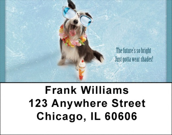 Gotta Wear Shades Address Labels | LBQBB-56
