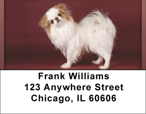 Japanese Chin Portrait Address Labels | LBQBB-65