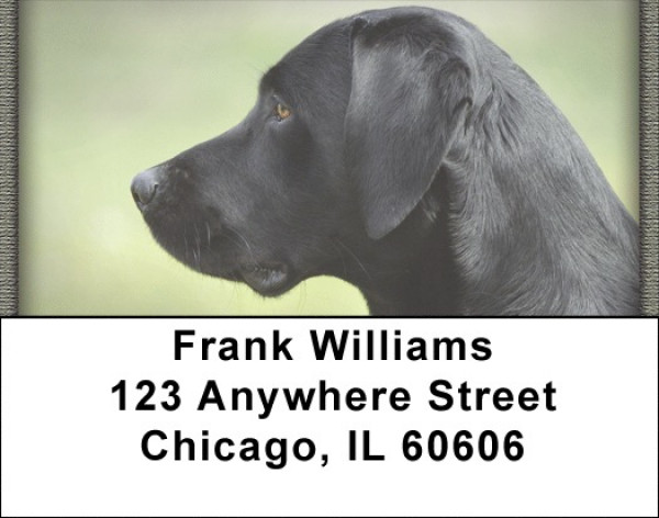 Black Labs Address Labels | LBQBB-66