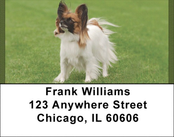 Pampered Papillon Address Labels | LBQBB-77