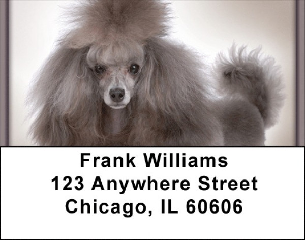 Posh Poodle Address Labels | LBQBB-86