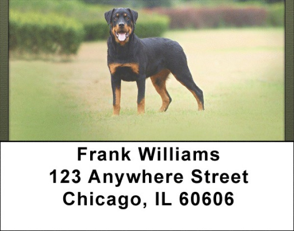 Rottweiler Patrol Address Labels | LBQBB-90