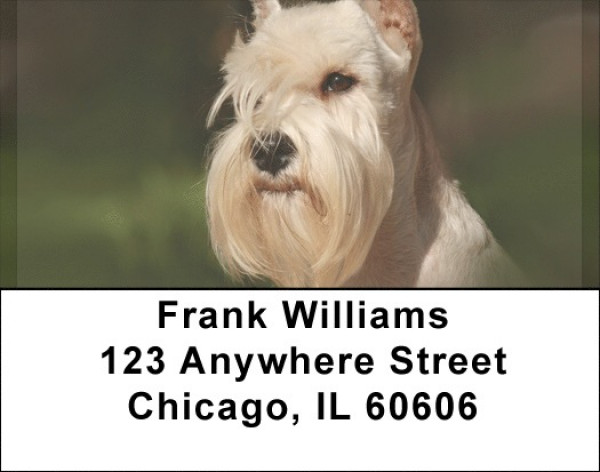 Scottish Terriers Address Labels | LBQBB-92