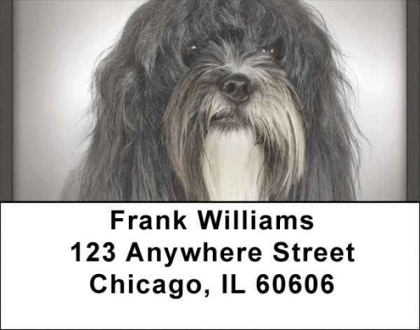 Tibetan Terriers Address Labels | LBQBB-99