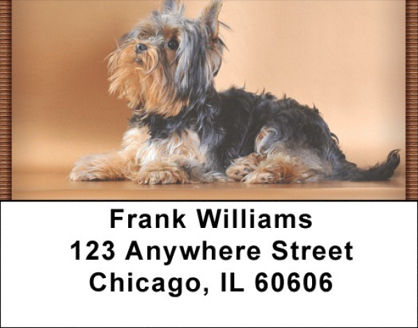 Yorkshire Terriers Address Labels | LBQBC-03