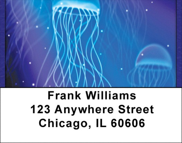 Man Of War Address Labels | LBQBC-37