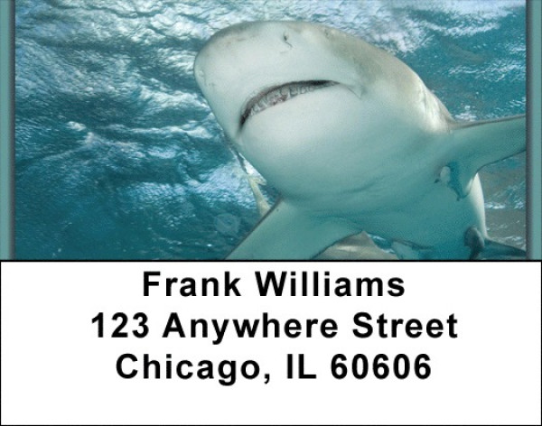 Sharks On Parade Address Labels | LBQBC-42