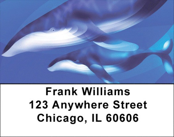 Whale Wonders Address Labels | LBQBC-48
